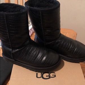 Black croco Uggs short